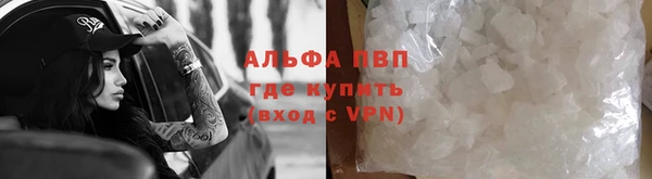 стаф Алексин
