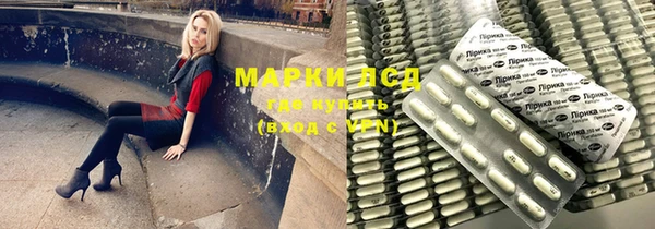 стаф Алексин