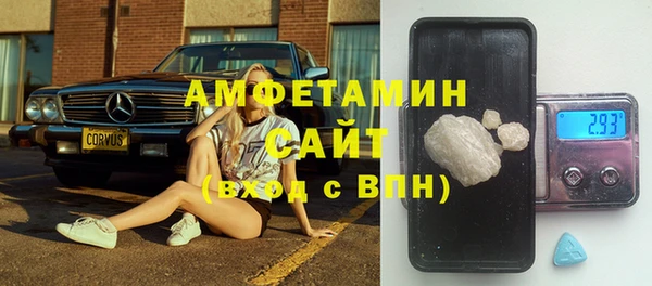стаф Алексин