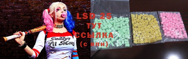 стаф Алексин